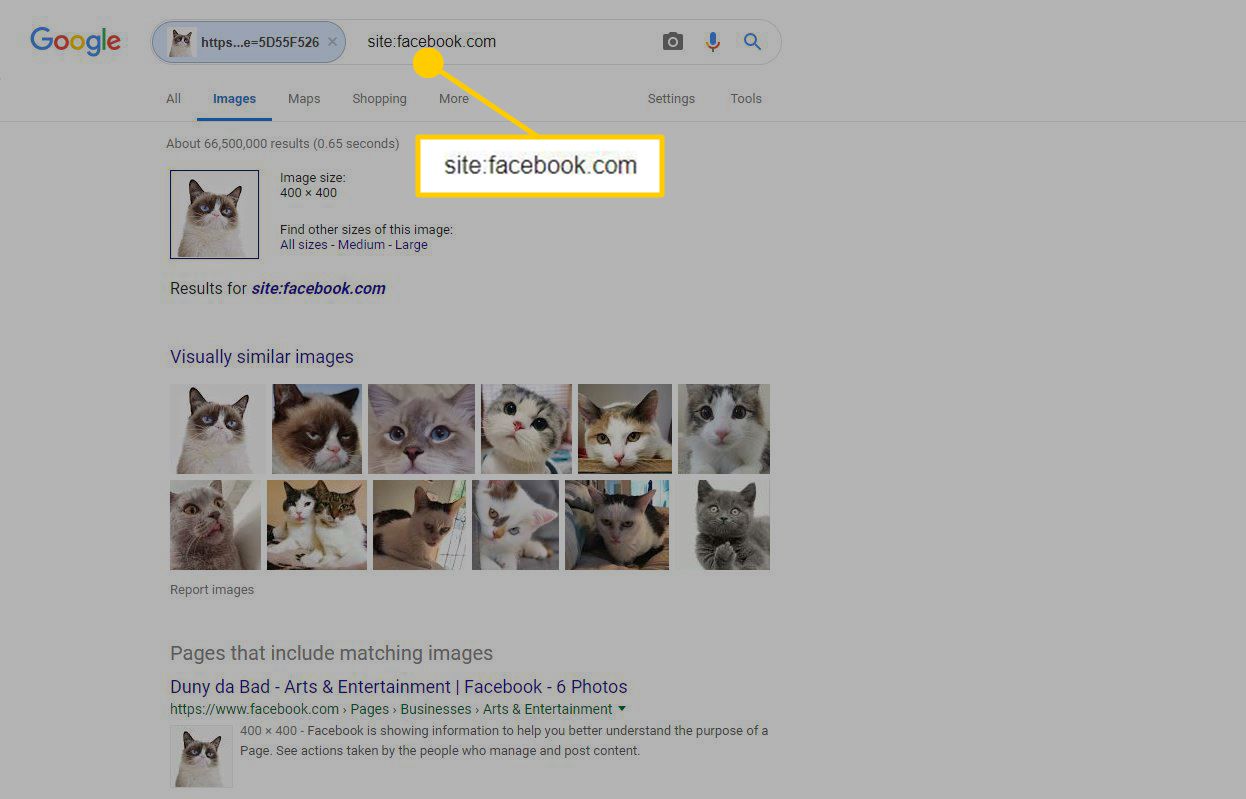 Screenshot výsledků obráceného obrázku Google omezen na Facebook.