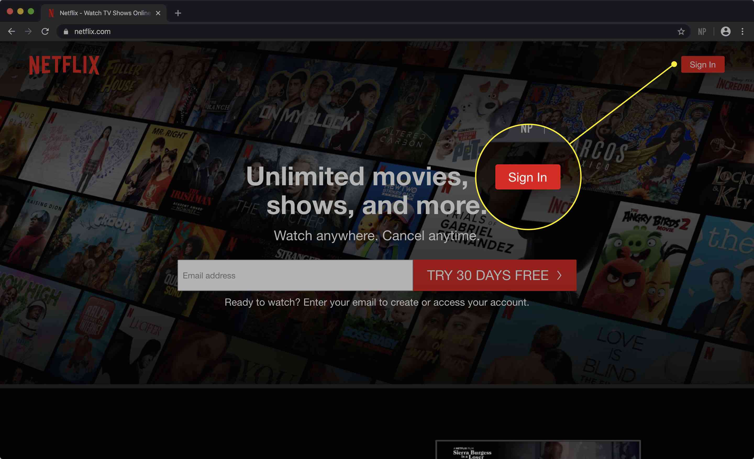 Snímek obrazovky webu Netflix se zvýrazněným tlačítkem Přihlásit