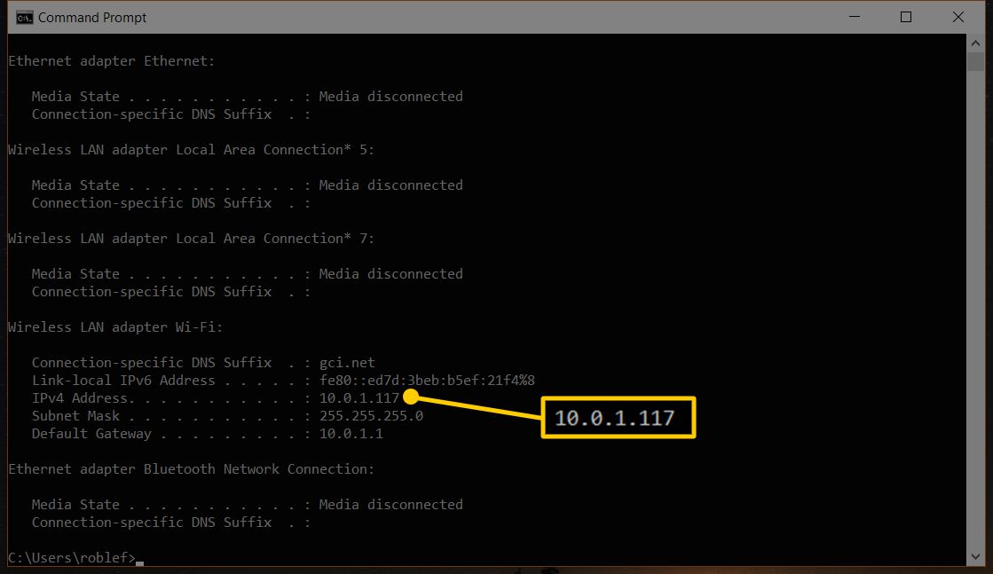 Screenshot okna okna příkazového řádku se zvýrazněním adresy IPv4 z 10.0.1.117