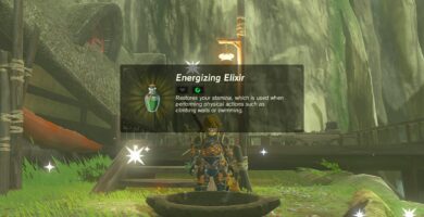 Jak si vyrobit elixíry v Zelda: BOTW 35 BOTW elixir 72c34ab402814dac9f1d83adb73a8805