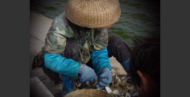 Používání aplikace Adobe Photoshop Fix CC 13 IMG 01 56a45a125f9b58b7d0d68502