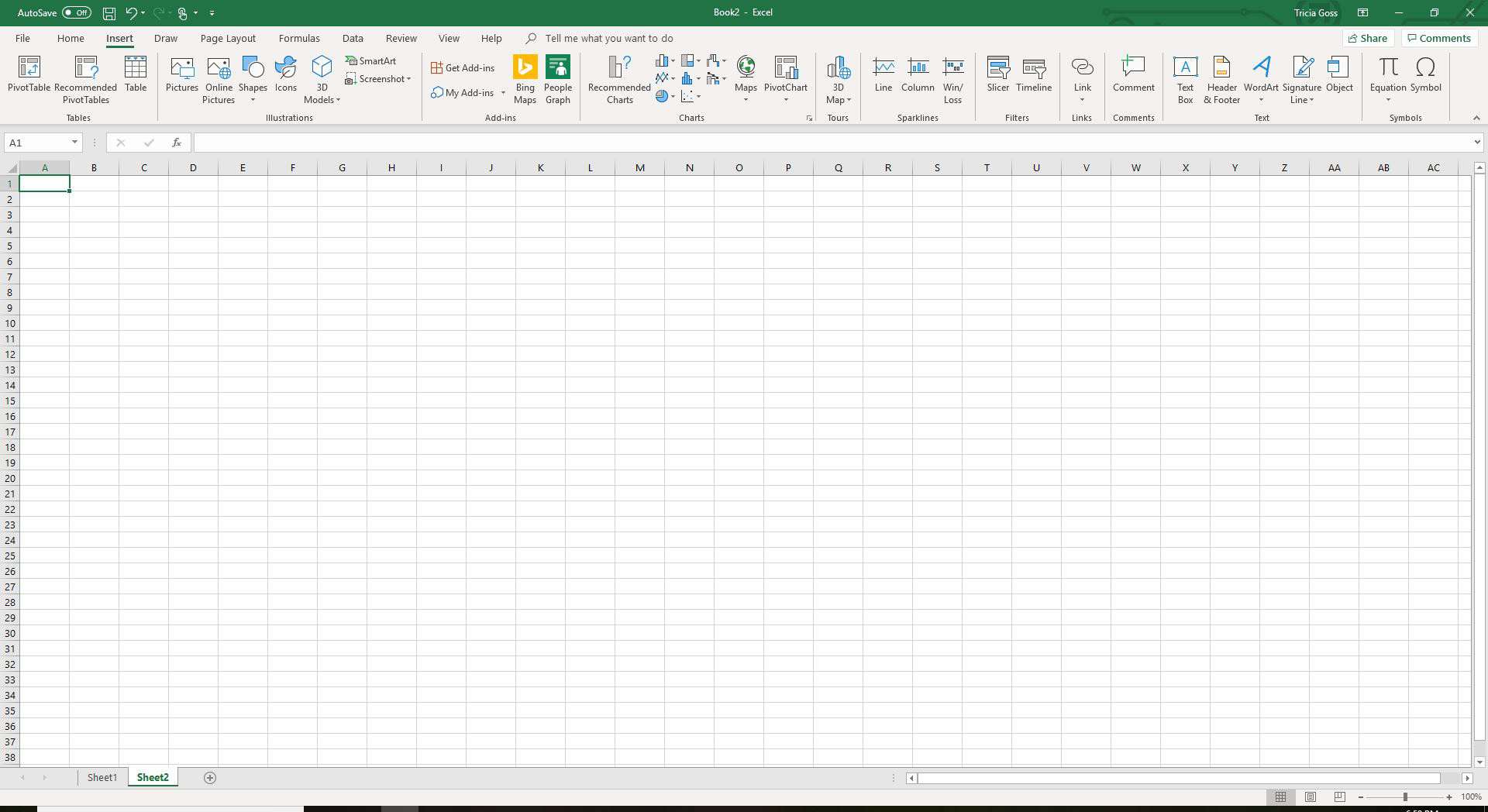 Screenshot aplikace Excel s vybranou kartou Vložit