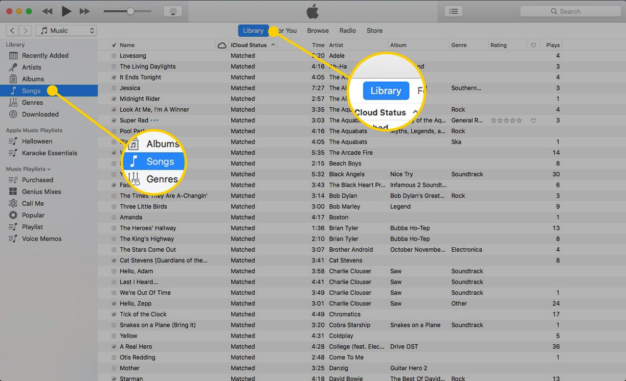 iTunes se otevírají na Macu se zvýrazněnými záhlavími Knihovna a Skladby