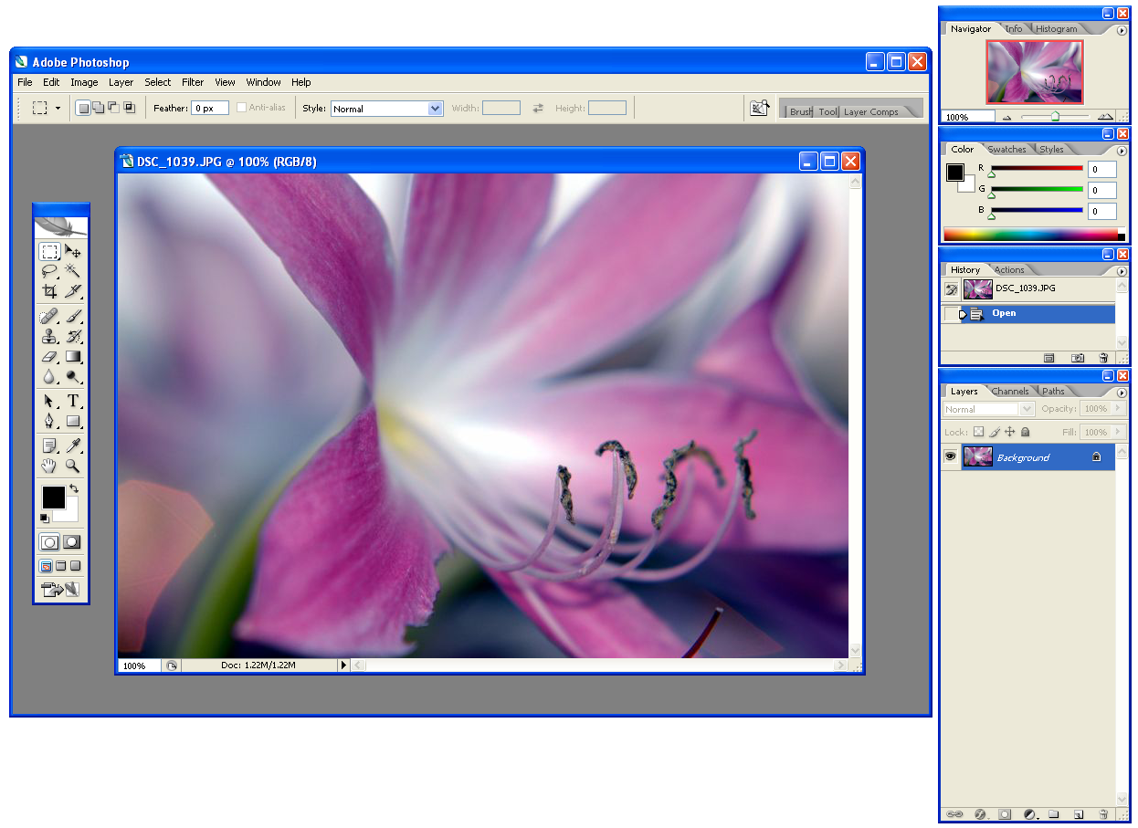 Adobe Photoshop CS2 v systému Windows XP