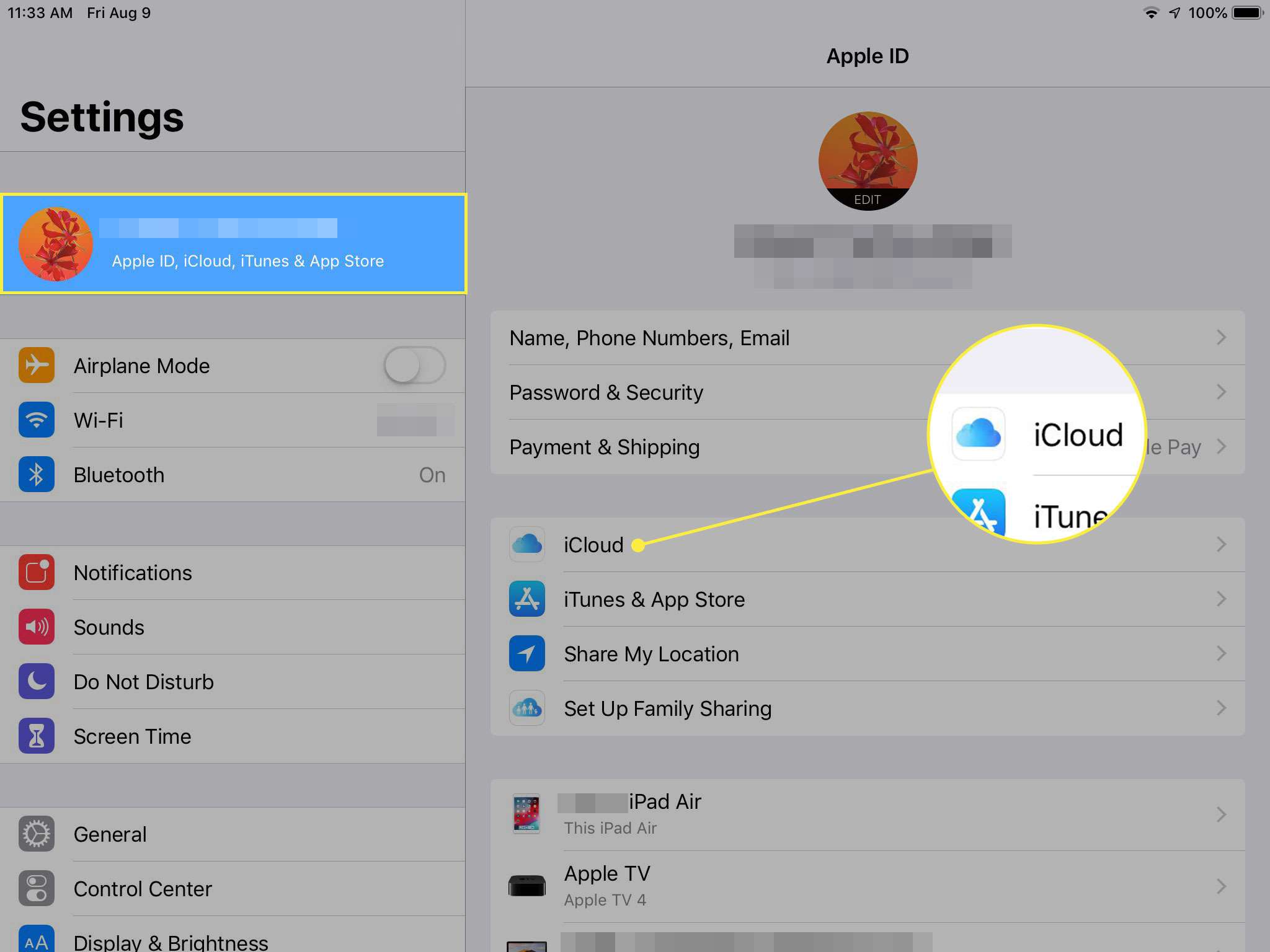 Snímek obrazovky nastavení iPadu se zvýrazněným nadpisem Apple ID a iCloud