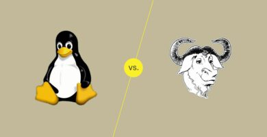 Linux vs GNU Linux 7536acb435394be19e09eb75e3c2e2de