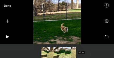 Jak otáčet video na vašem iPhone nebo Mac 76 Main 5ac69529c064710037395ddf