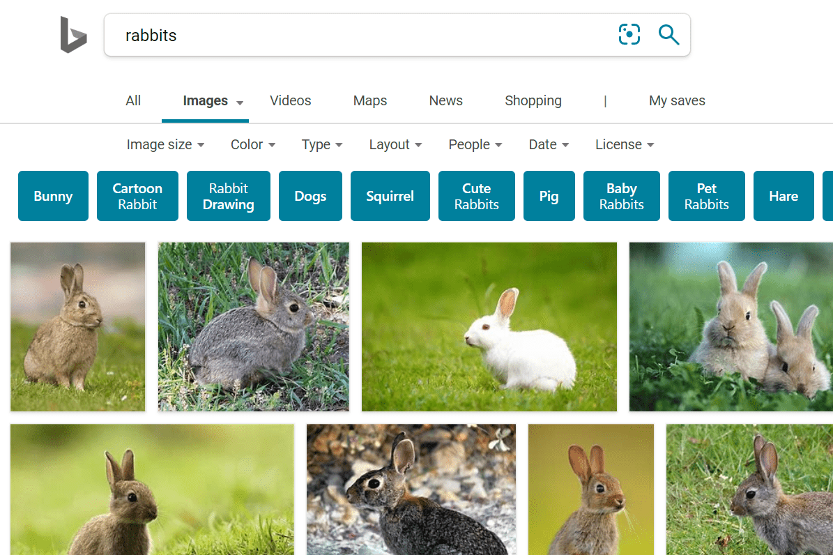 Hledání obrázků Bing pro králíky