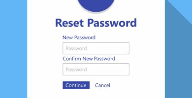 Jak změnit své heslo PayPal 28 PayPal Change Feature 062f35ca6c864a5ca315f186a6571c3b