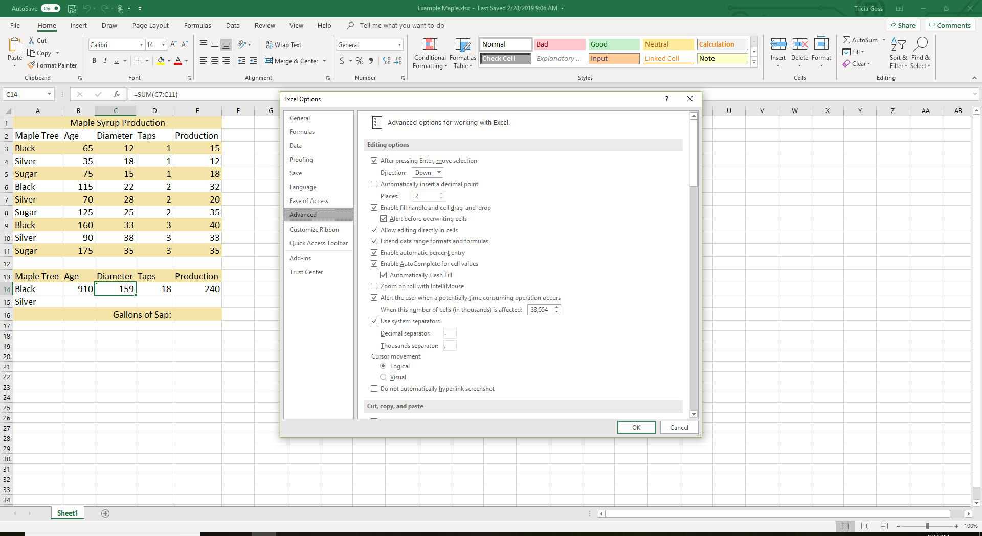 Screenshot záložky Upřesnit okna Možnosti aplikace Excel