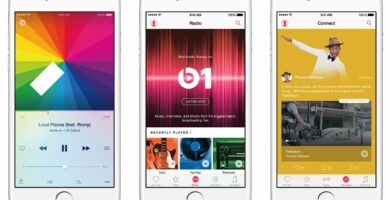 apple music app 56a536005f9b58b7d0db8568