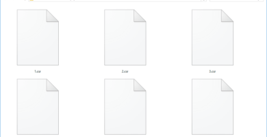 Co je soubor CSR? 22 csr files 5a775a8c3de4230037e8bc3b