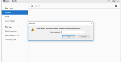Co je heslo pro otevření dokumentu? 9 document open password prompt adobe reader 5a675817b1f09f0037c40105