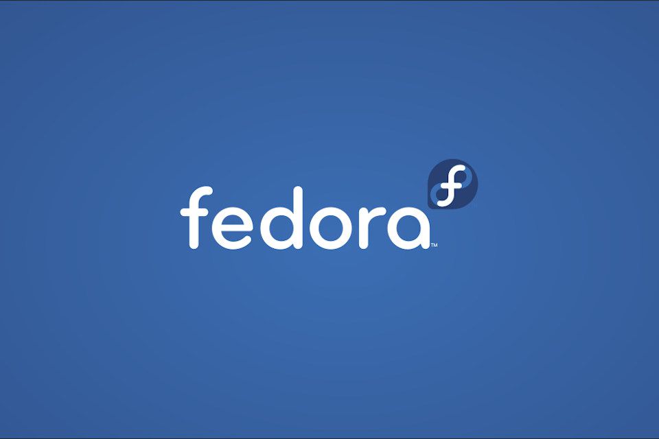 fedora c5d881329a5d486d97f8fb07757cab4b