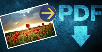 Jak převést obrázek do PDF 113 imagetopdf 671637000e814dedb33a64fb55b524aa