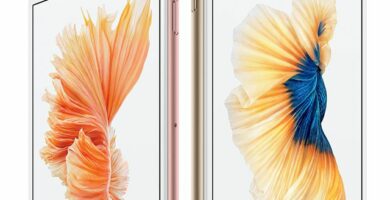 Vše o hardwaru a softwaru iPhone 6S a 6S Plus 66 iphone 6s series 56a536123df78cf77286f3b2