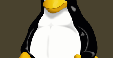 linux logo 57b8b7183df78c8763bfa97a