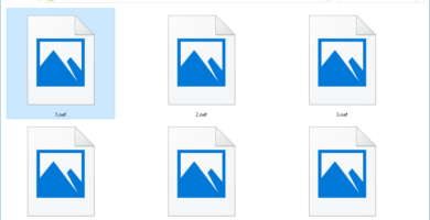 Co je soubor NEF? 64 nef files 586e74d45f9b584db3705091