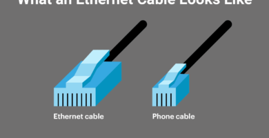 what is an ethernet cable 817548 908a886078ec4c6ea413fbdc5d72333c