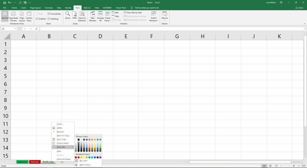 worksheets and workbooks in excel 1 5c3b5e11c9e77c0001bc58d6