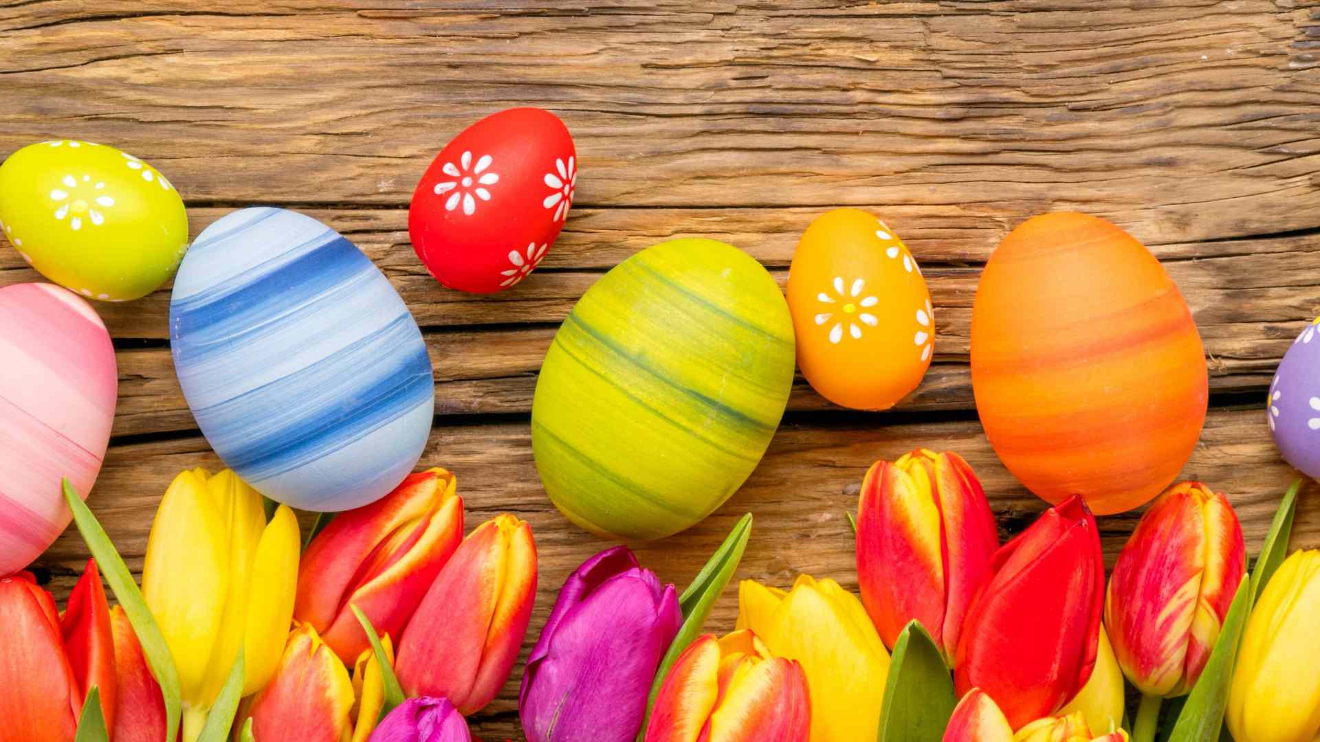 Zdarma velikonoční tapeta s barevnými velikonočními vejci a tulipány