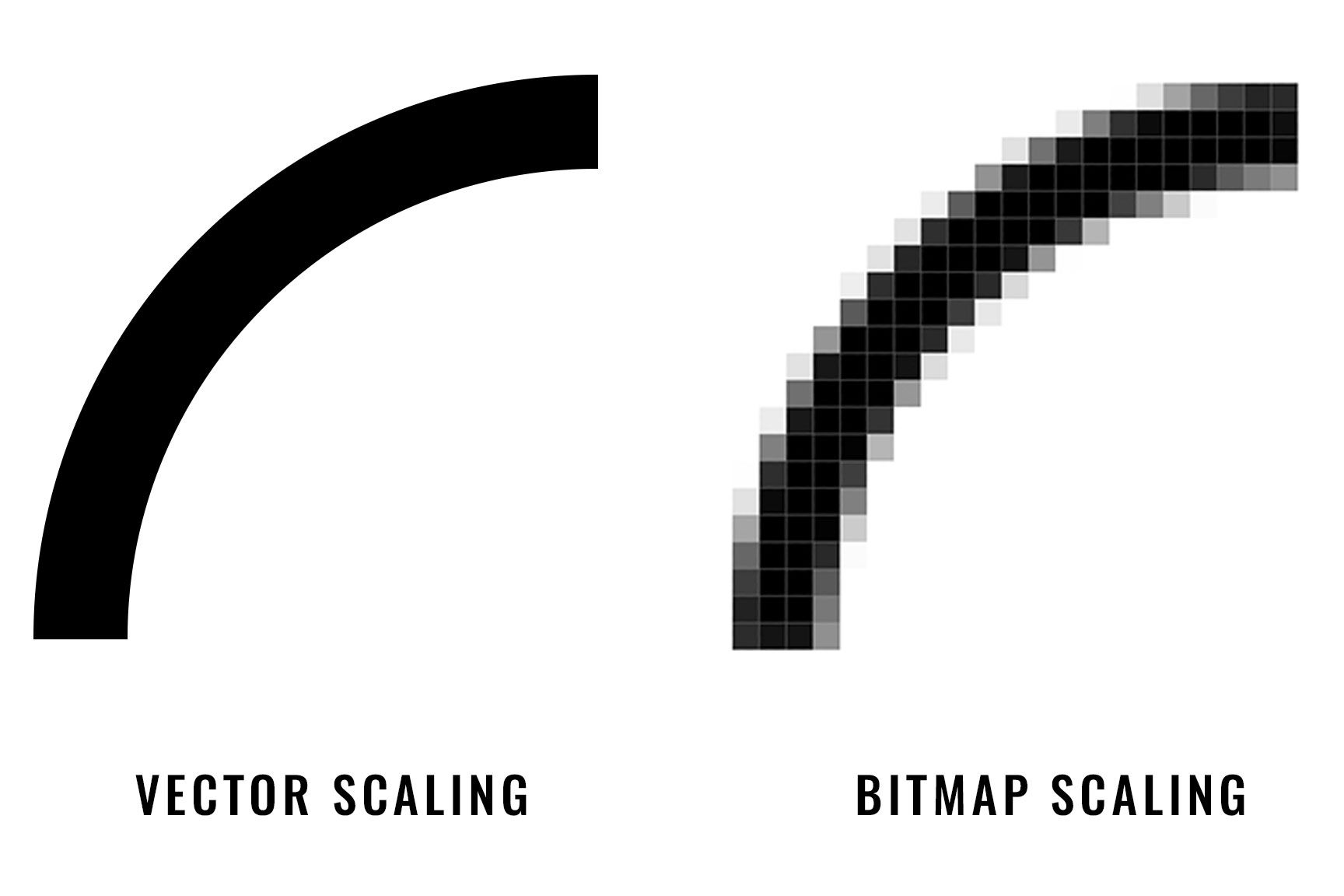 vektor vs bitmapa