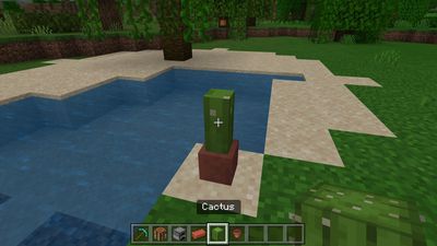Kaktus na zemi v Minecraftu