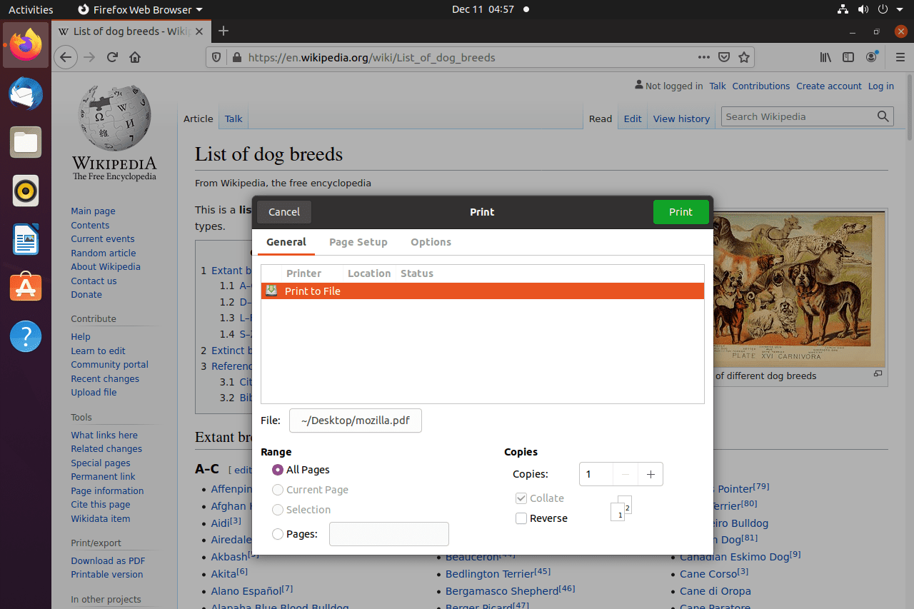 Screenshot možnosti tisku do souboru v Ubuntu pro uložení webové stránky do PDF