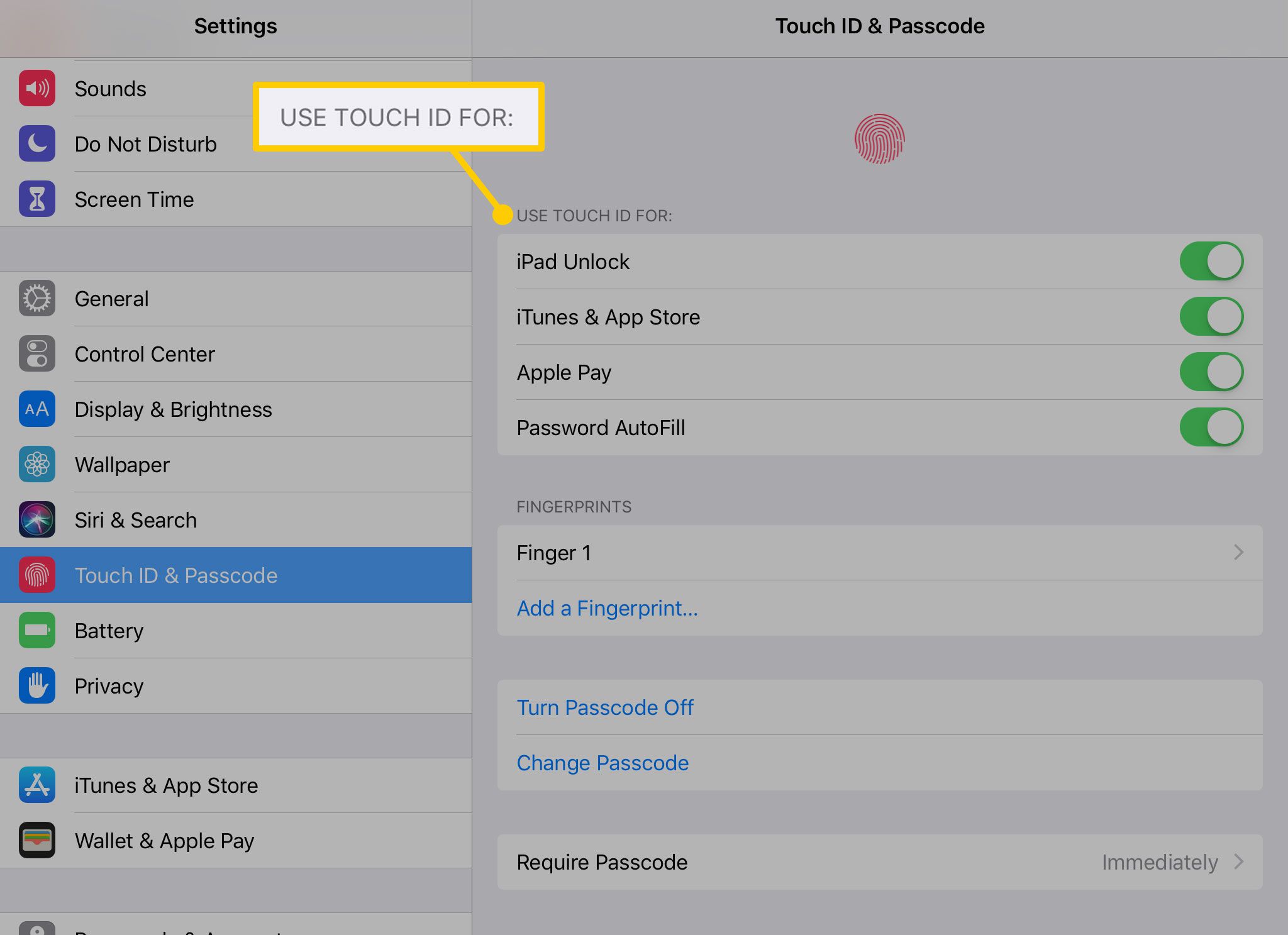 Nastavení Touch ID použijte pro iPad