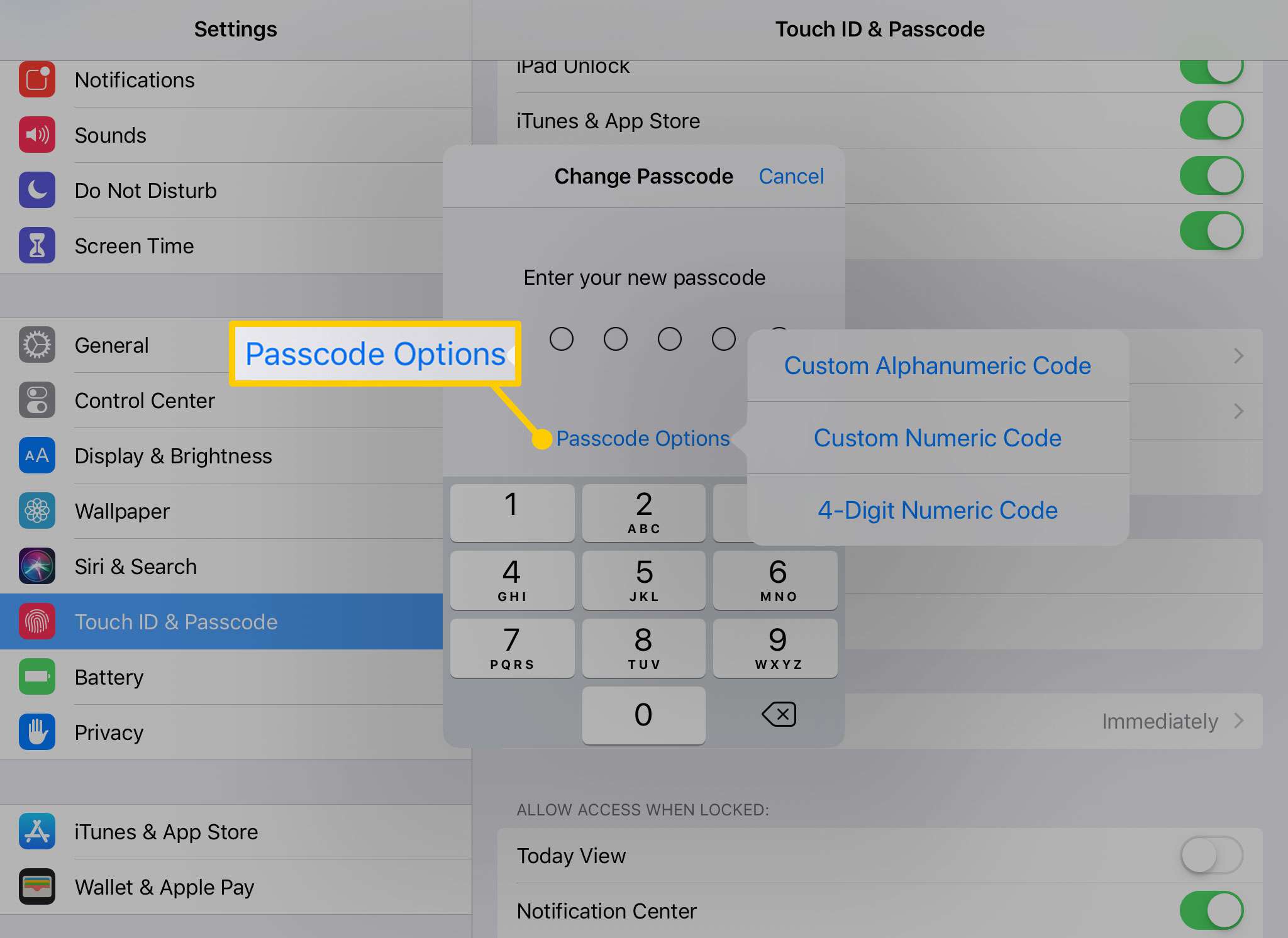 Možnosti přístupového kódu na iPadu