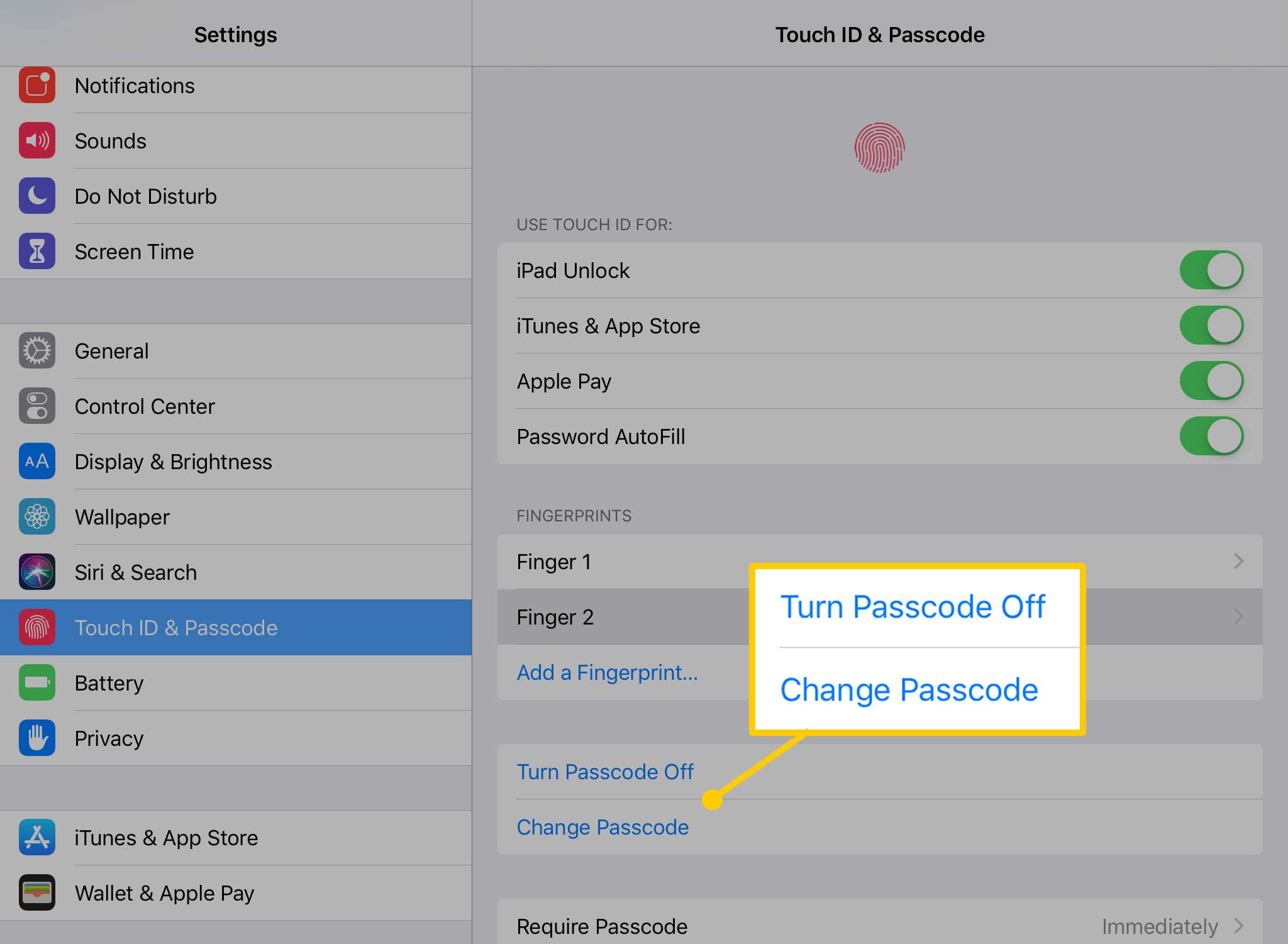 Možnosti přístupového kódu na iPadu