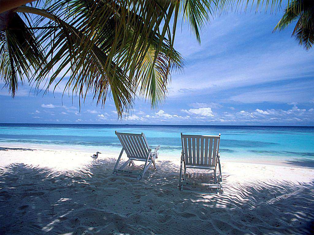 Zdarma plážová tapeta se dvěma prázdnými bílými židlemi na pláži