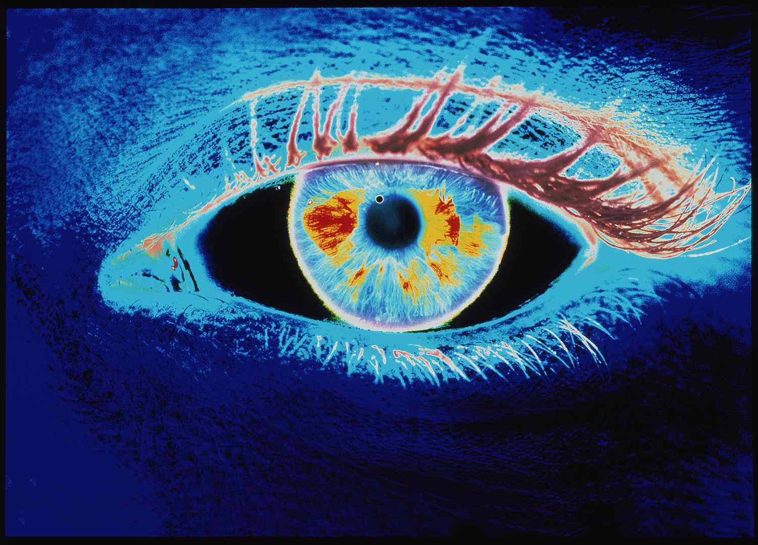 Počítačová grafika lidského oka (negativní obrázek)