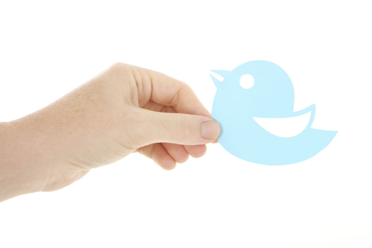 Ruka držící logo, které vypadá jako modrý pták Twitteru.