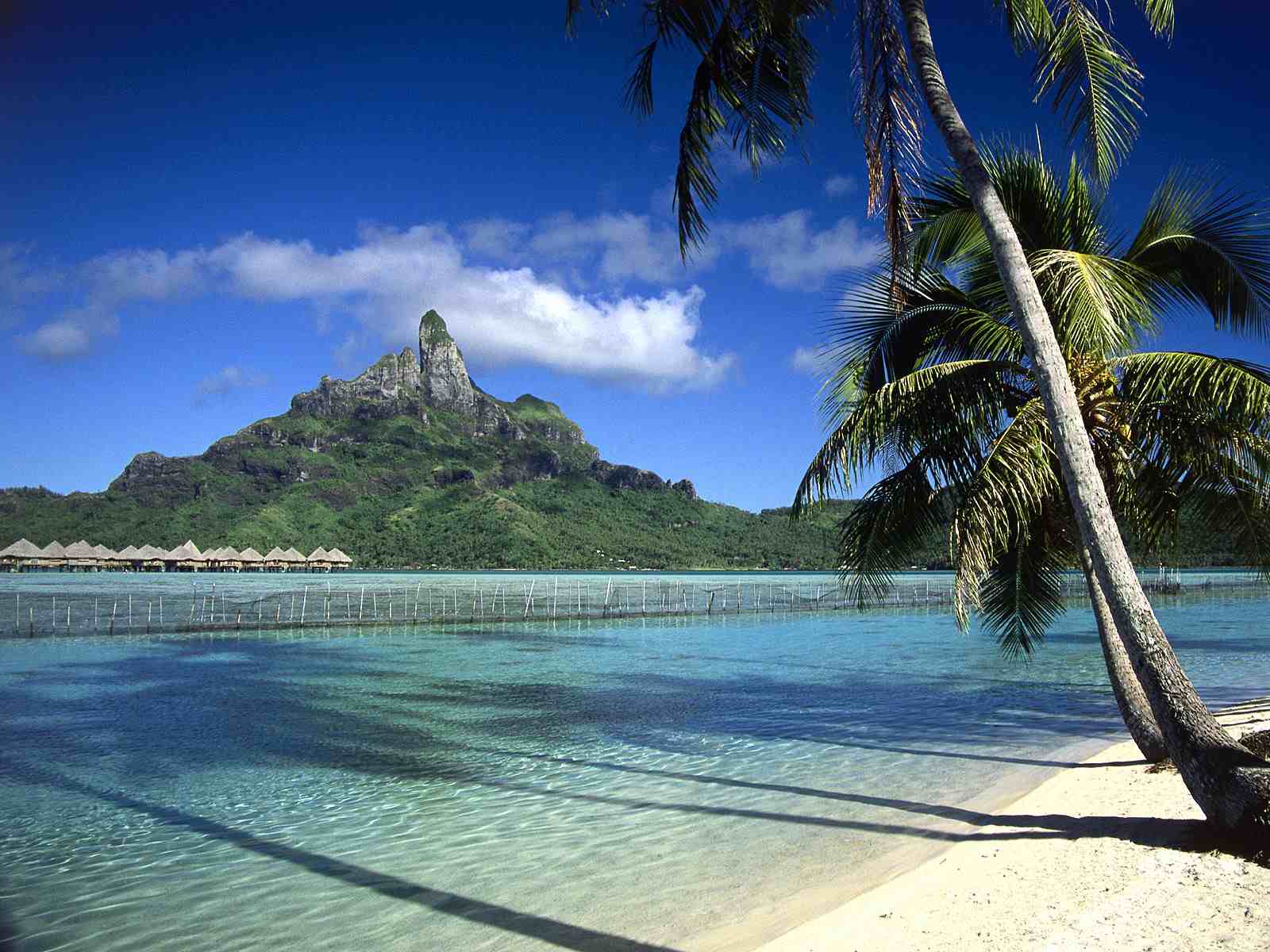 Tapeta na plochu s plážovou scénou na Bora Bora