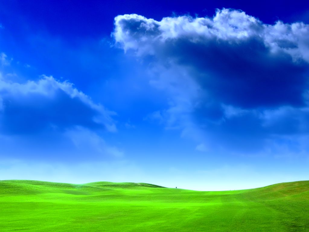 Tapeta na plochu zobrazující jasně zelené pole a modrou oblohu