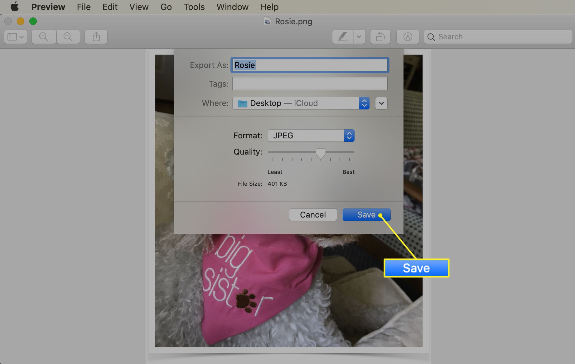 Uložit jako obrazovku JPEG v aplikaci Mac Preview