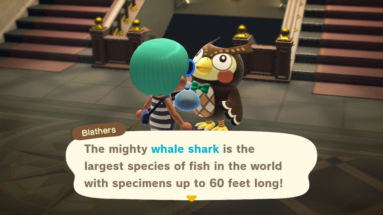 Animal Crossing: Muzeum žraloků New Horizons