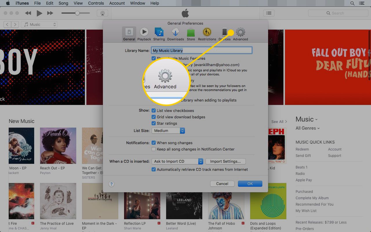 Předvolby iTunes se zvýrazněnou záložkou Upřesnit