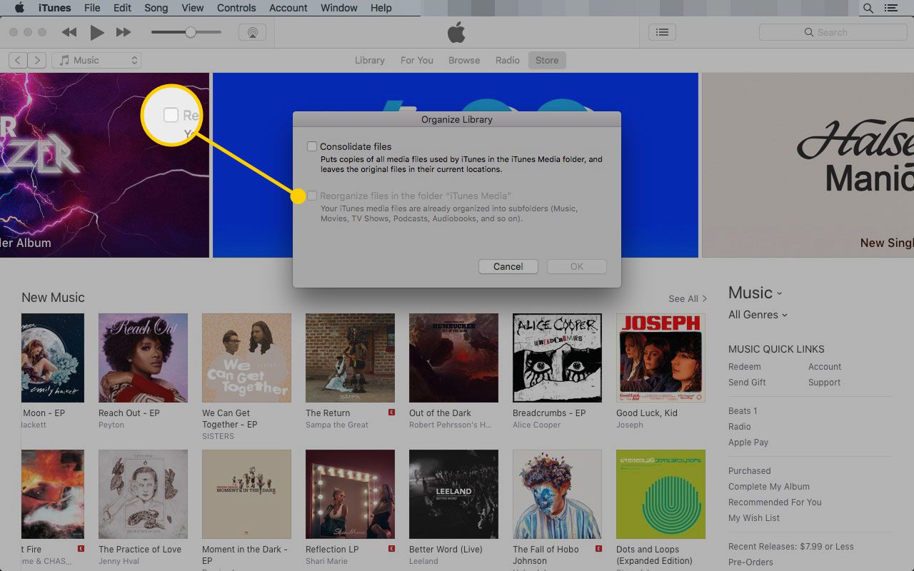 Uspořádejte okno knihovny v iTunes se zvýrazněným polem „Reorganizovat soubory“