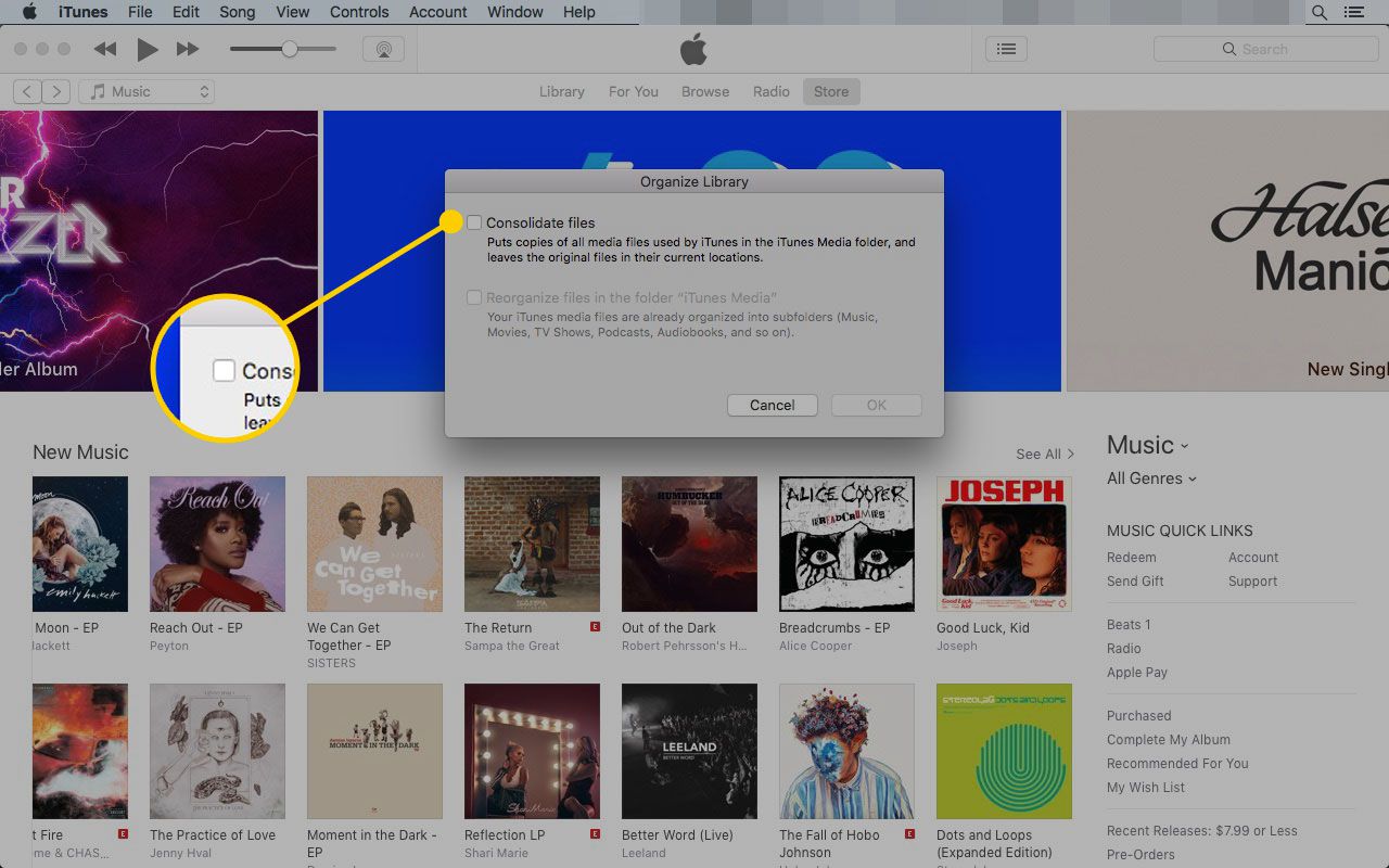 Uspořádejte okno knihovny v iTunes se zvýrazněným polem Sloučit soubory