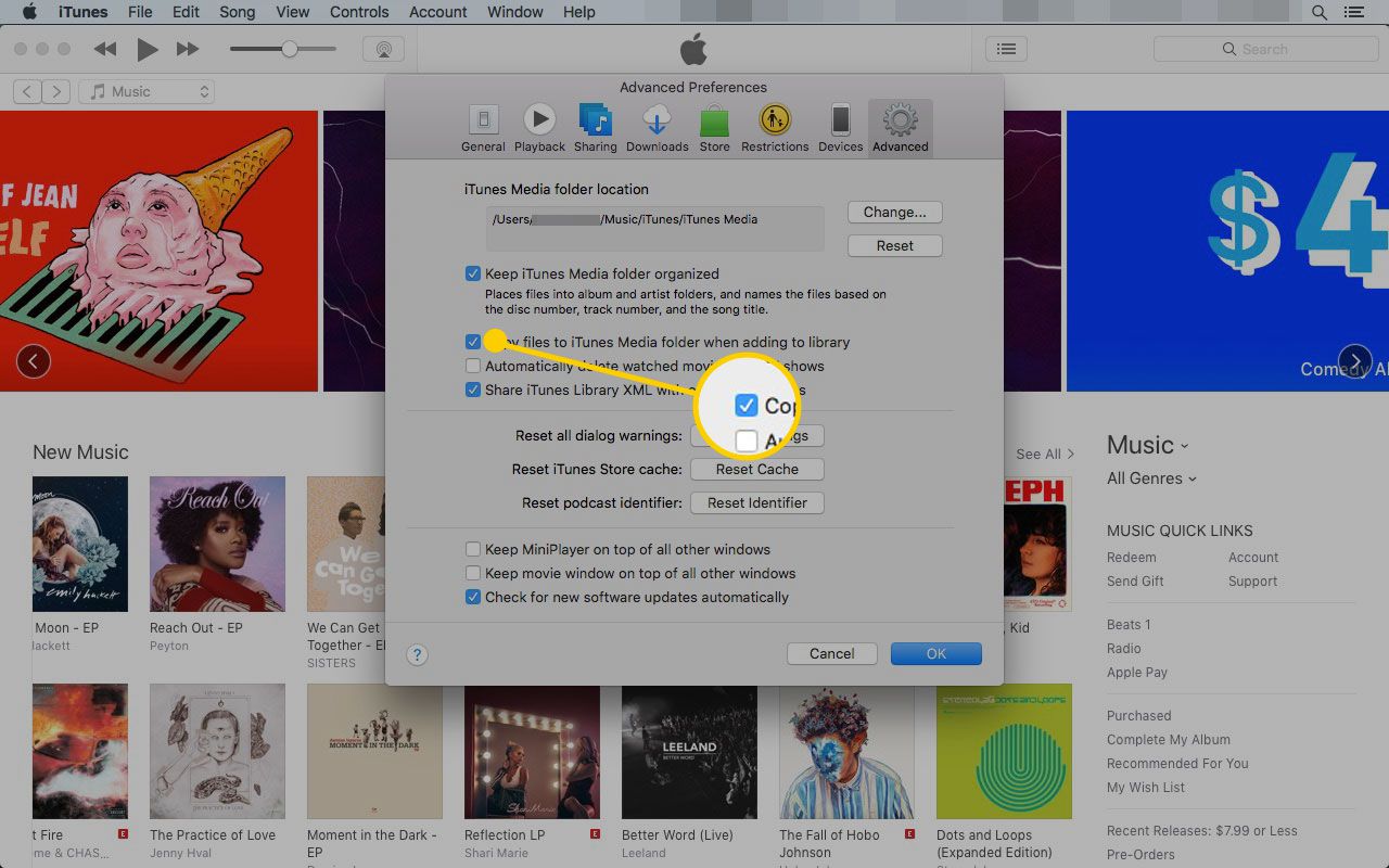 Pokročilé předvolby iTunes se zvýrazněným políčkem „Kopírovat soubory do složky iTunes“