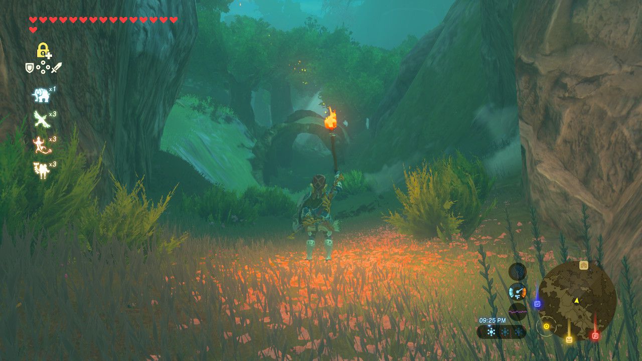 Příjezd do lesa Korok v The Legend of Zelda: Breath of the Wild.