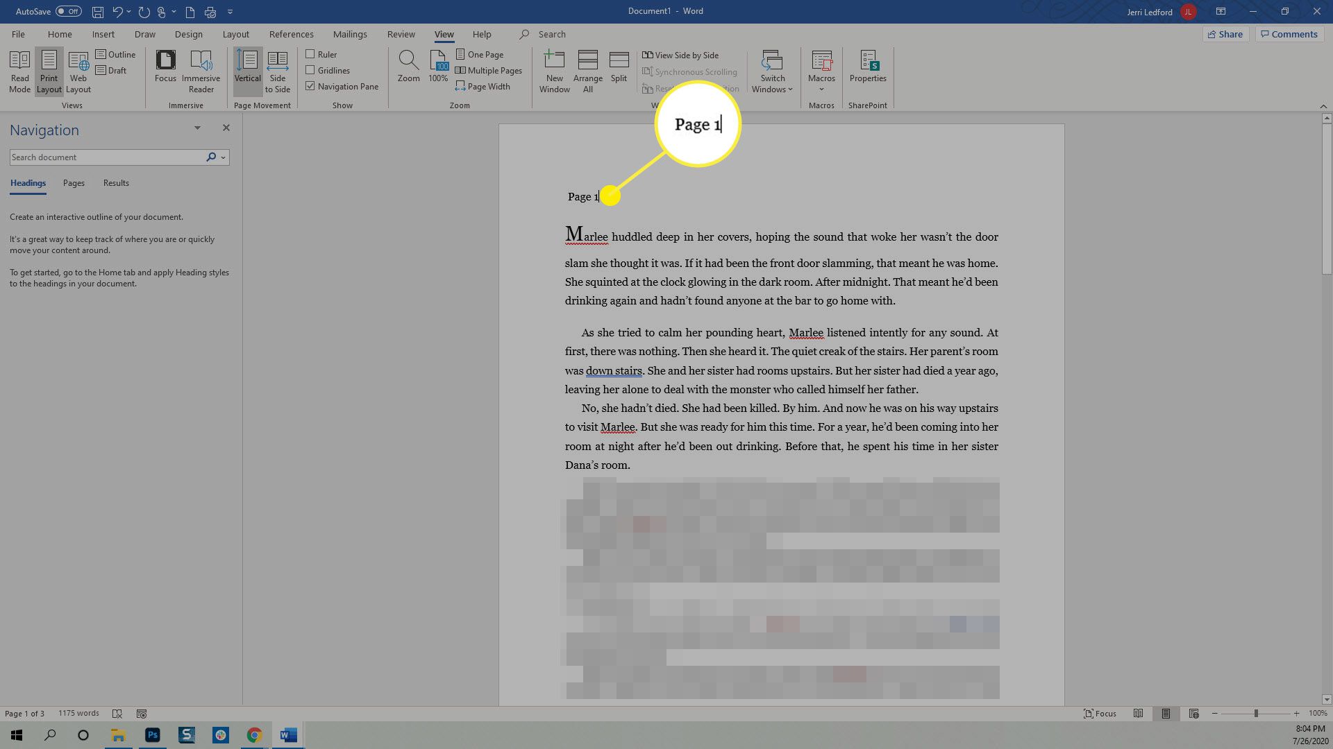 Text v dokumentu Microsoft Word.