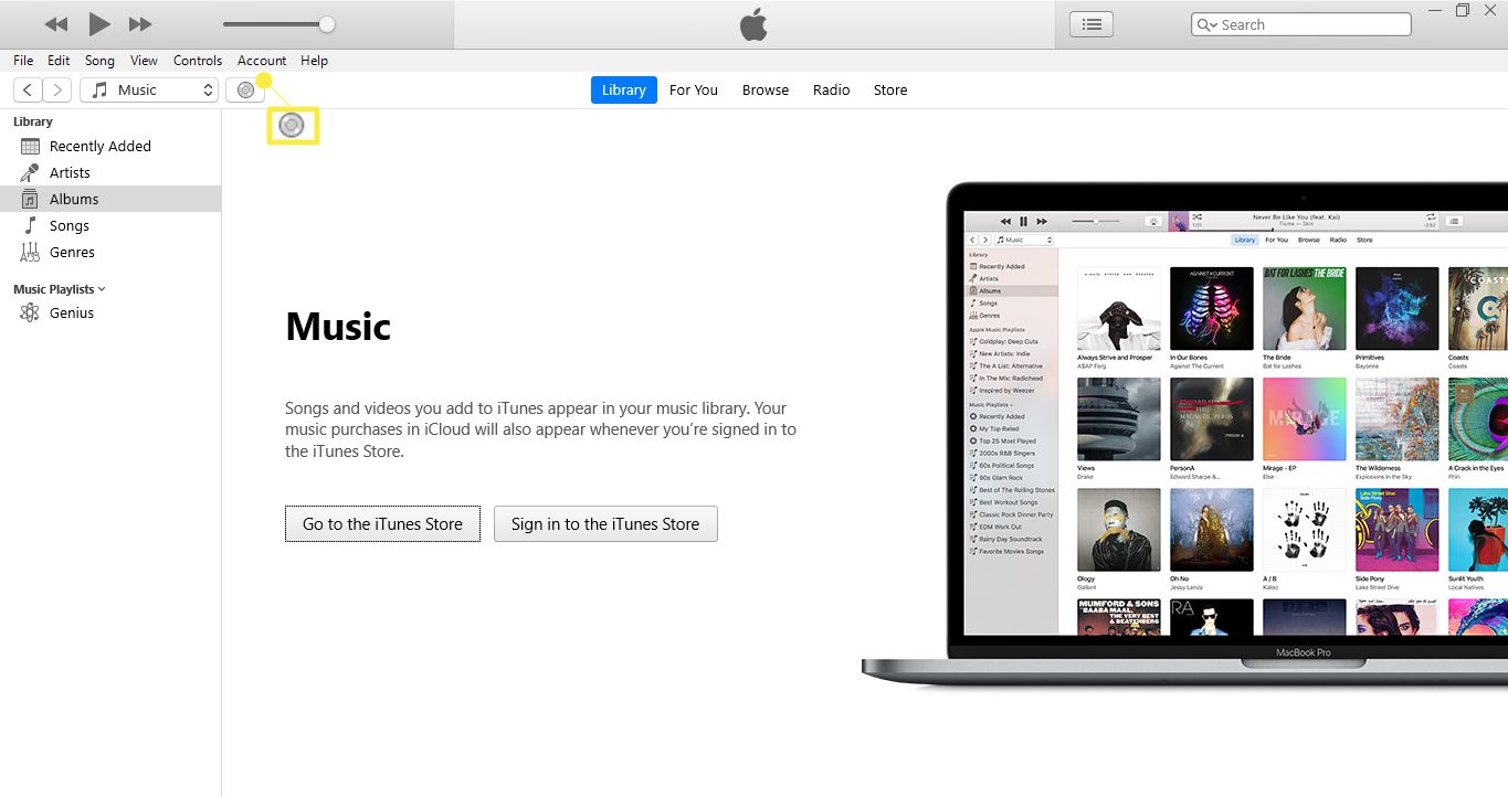 Přejděte do své knihovny iTunes a vyberte ikonu CD v horní části obrazovky.