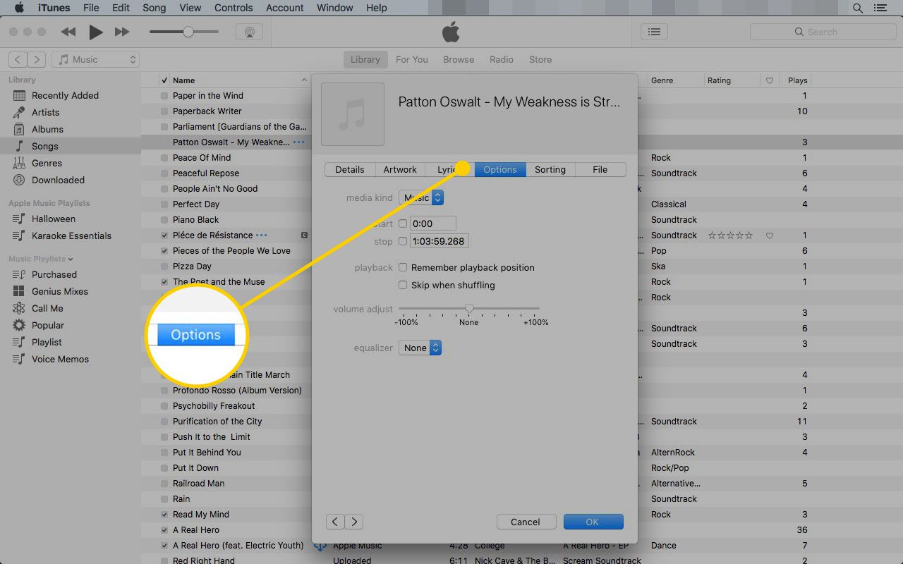 Okno Informace o skladbě v iTunes se zvýrazněnou záložkou Možnosti