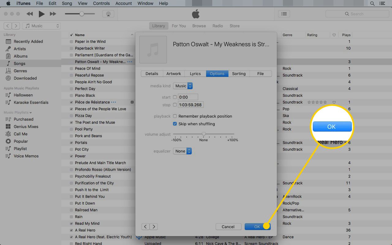 Karta Možnosti v nabídce Informace o skladbě v iTunes se zvýrazněným tlačítkem OK