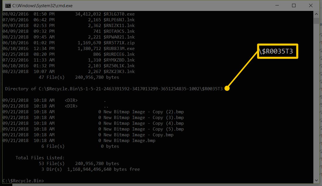Screenshot Windows 10 Command Prompt ukazující název souboru složky, která má být obnovena