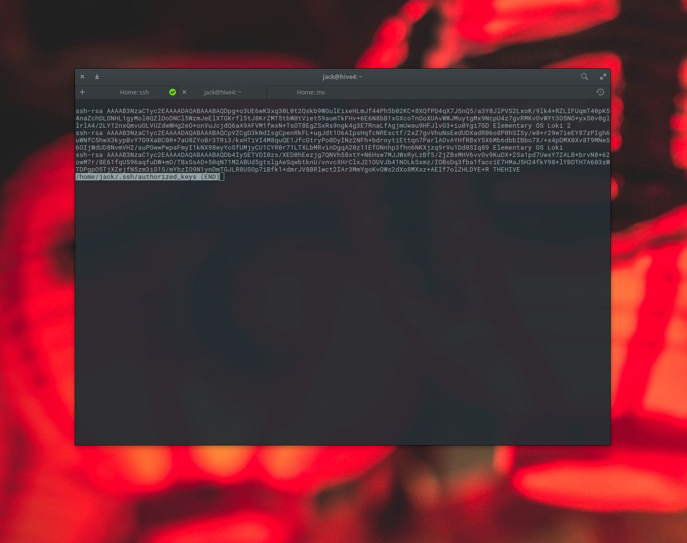 Snímek obrazovky souboru authorized_keys nalezeného v Linuxu.