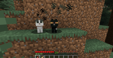 Jak zkrotit kočku v Minecraftu 91 2020 12 15 20.22.10 eabccb480b234f47a1da382e0e1a634a